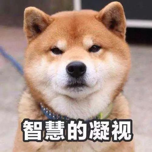 Ϊʲô˵ů²22(ͼ6)
